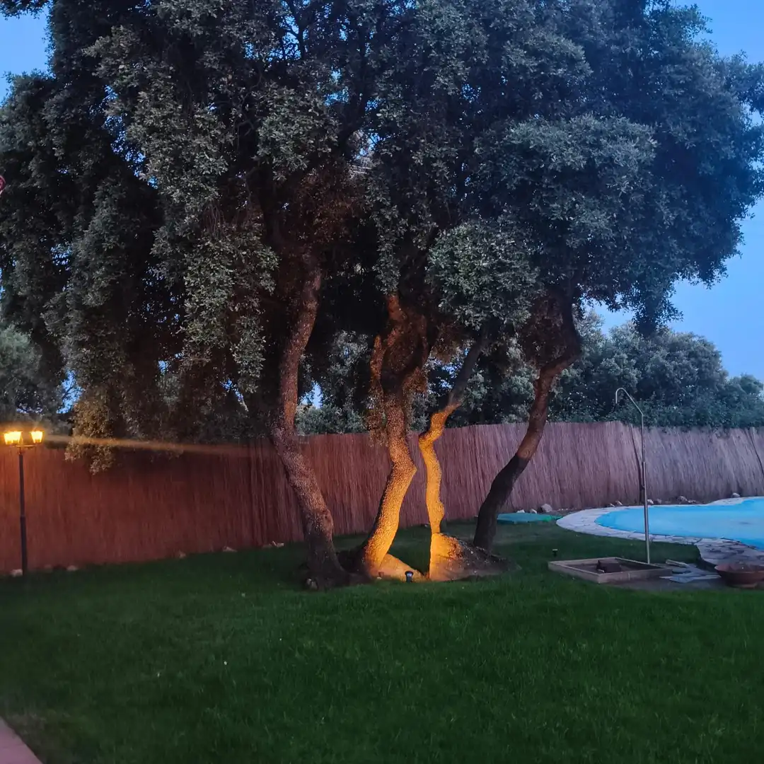 Jardí de Casa o xalet en venda en Valdemorillo amb Piscina comunitària
