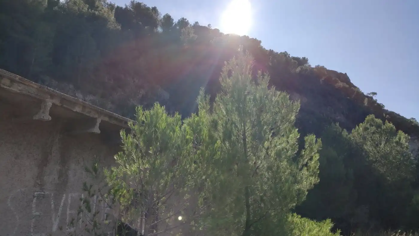 Vista exterior de Finca rústica en venta en L'Atzúbia