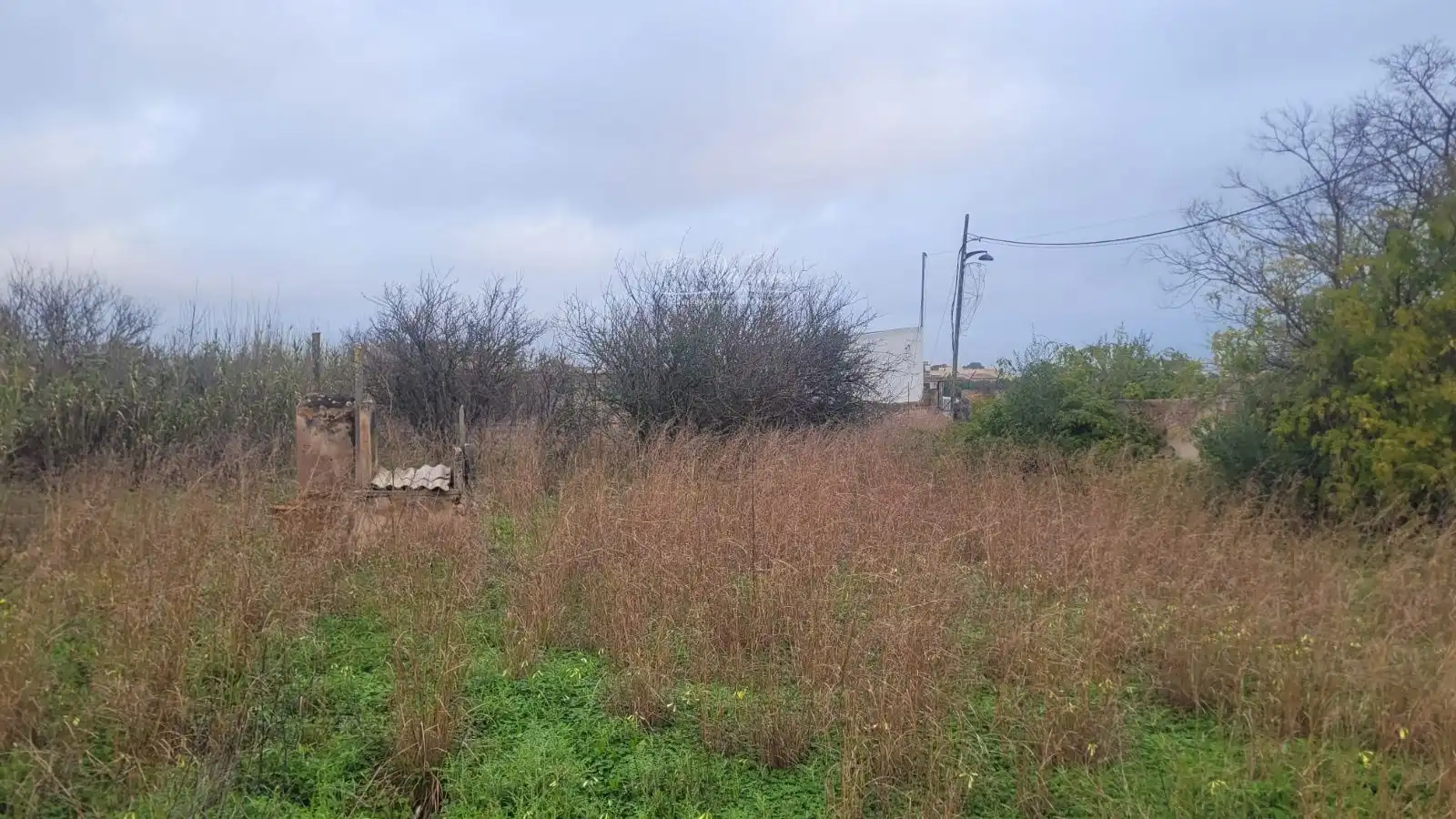 Terreny rústic en venda a Marratxinet, imagen 4