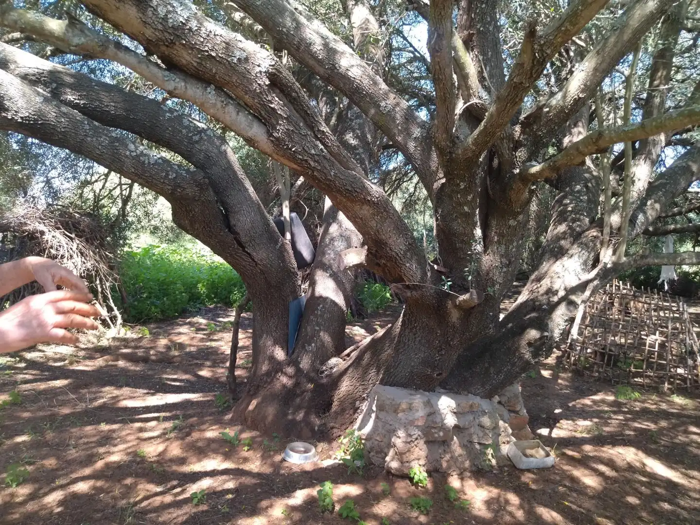 Casa rústica amb jardí en venda a N/A, imagen 18