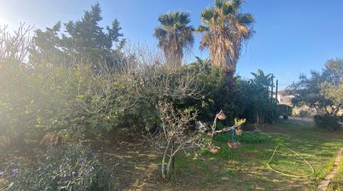 Foto 4 de Casa o xalet en venda a Pelagatos - Pago del Humo, Cádiz
