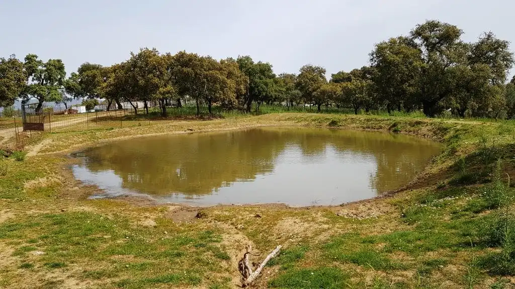 Terrenos y solares en venta en Extramuros Diseminados 5, imagen 25