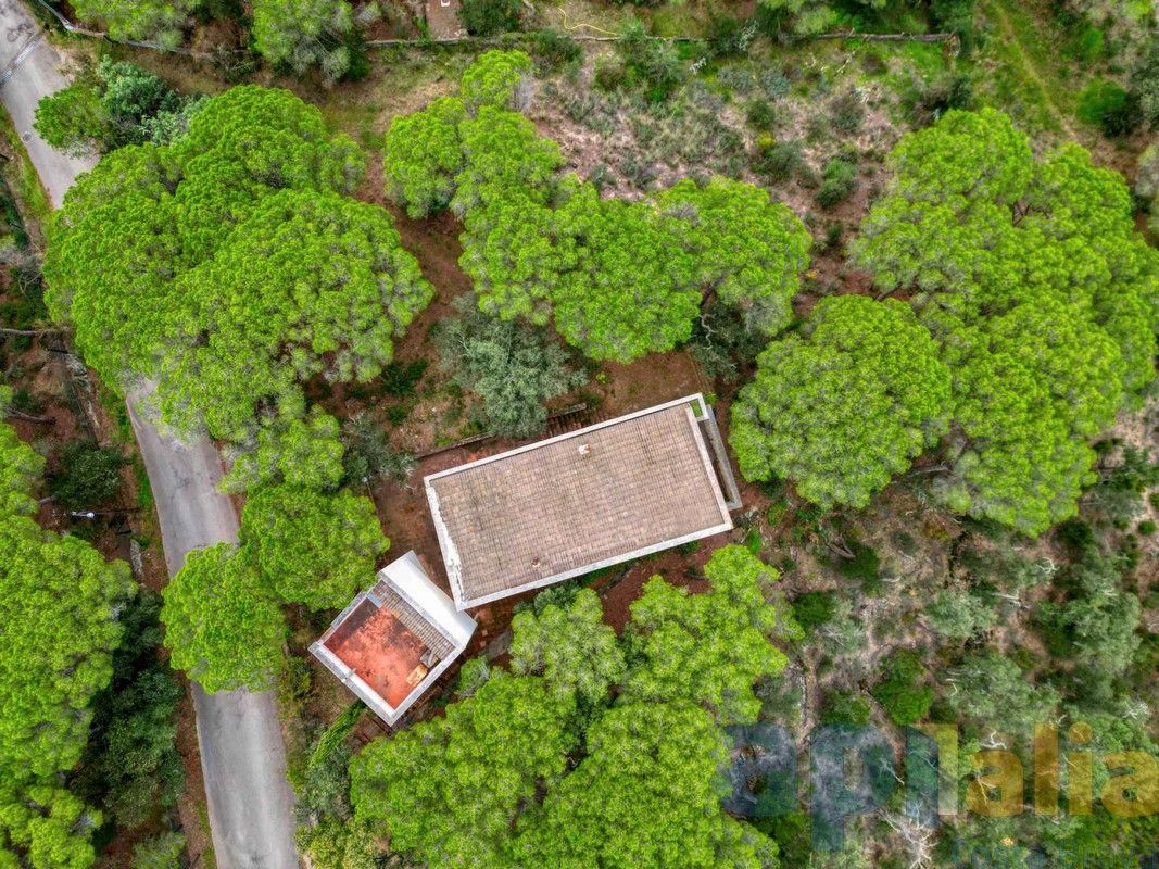 Garden of House or chalet for sale in Santa Cristina d'Aro  with Private garden and Terrace