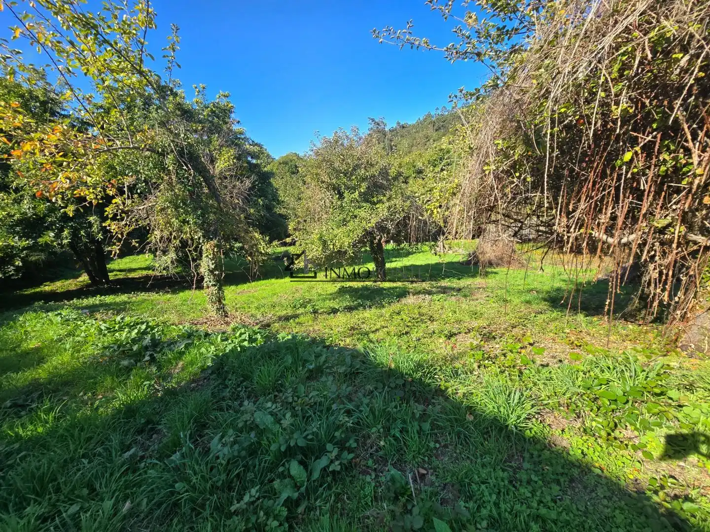 Casa o xalet en venda en Cerdedo amb Jardí privat