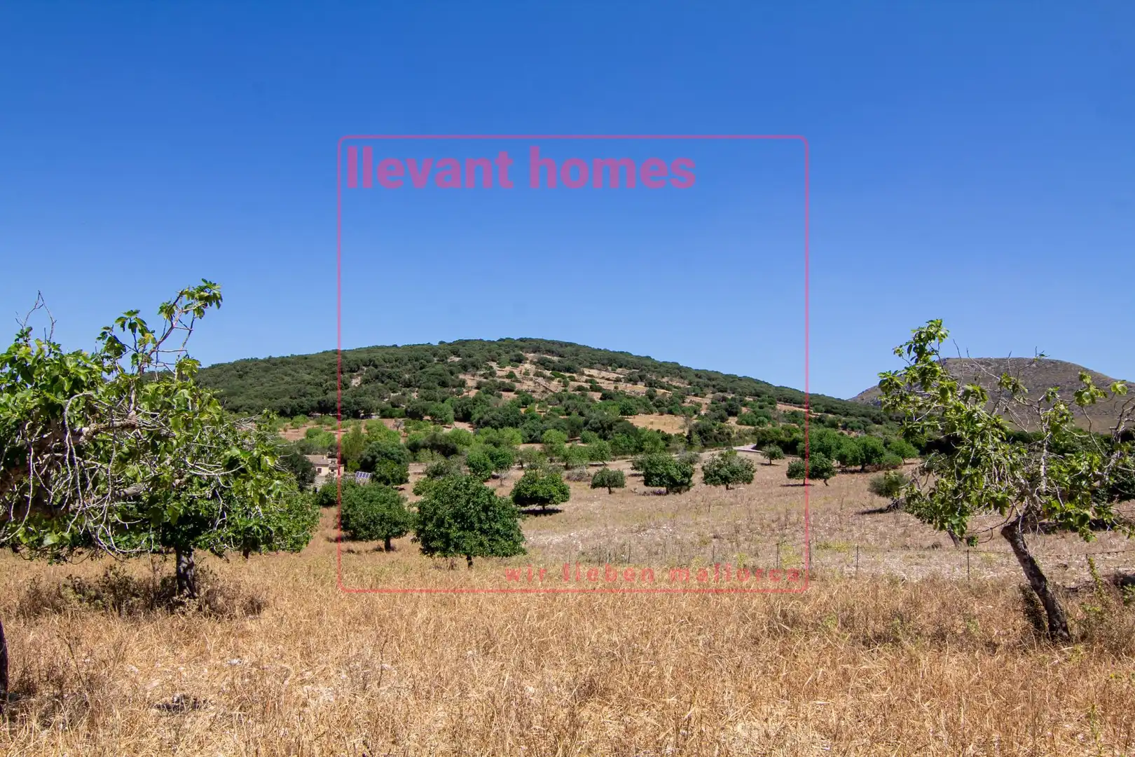 Grundstücke zum Verkauf in Carretera de Carrossa, Sant Llorenç des Cardassar