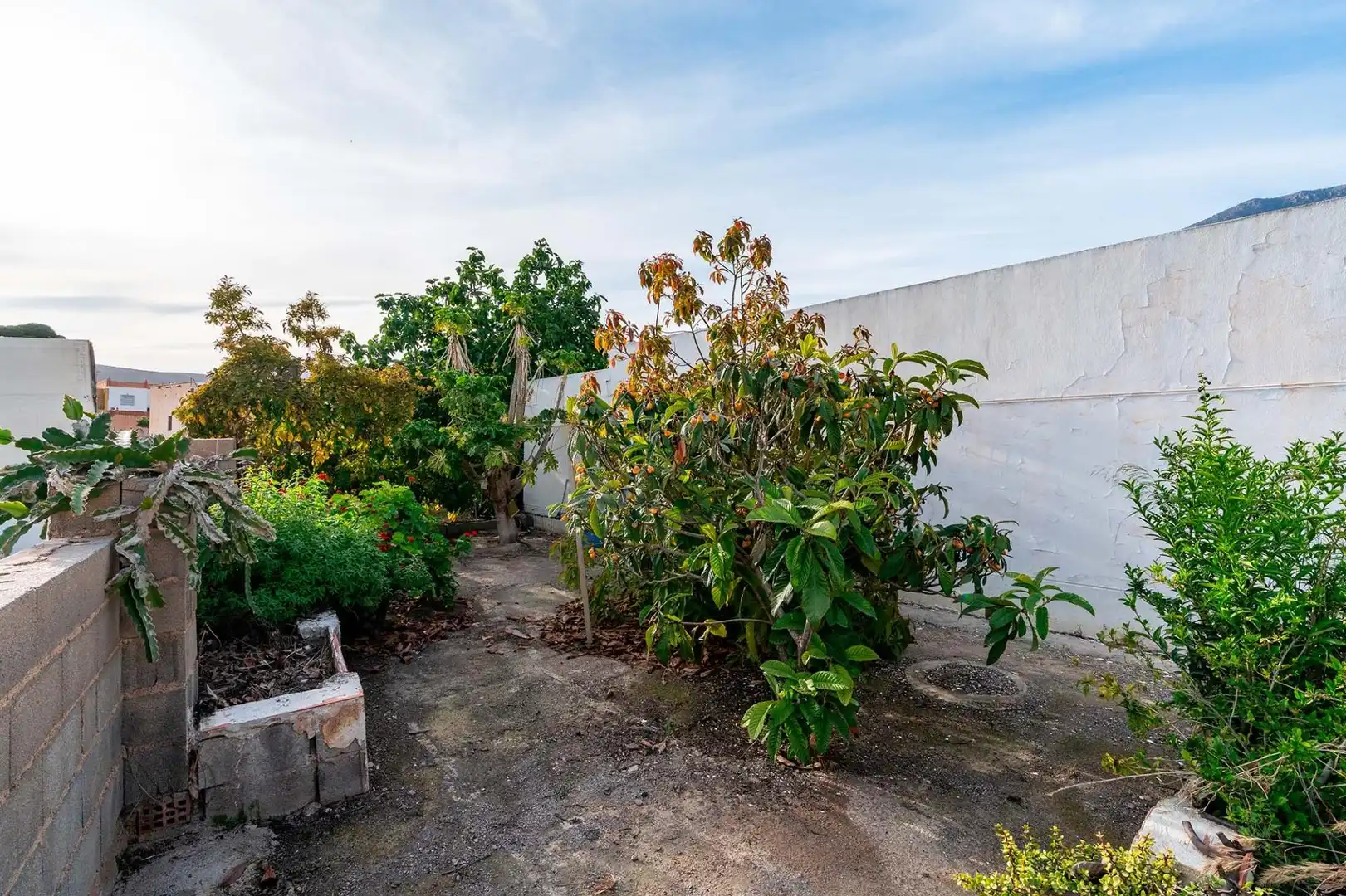 Casa o chalet en venta en Dalías con Jardín privado y Trastero
