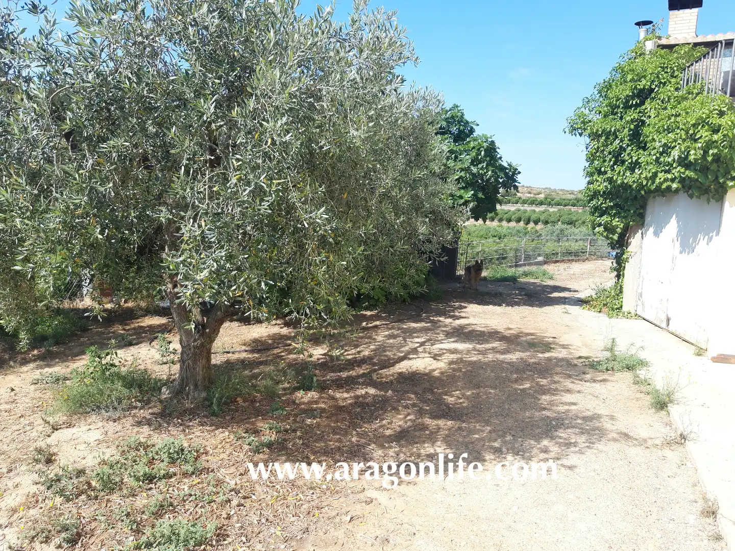 Finca rústica en venta en Caspe con Amueblado