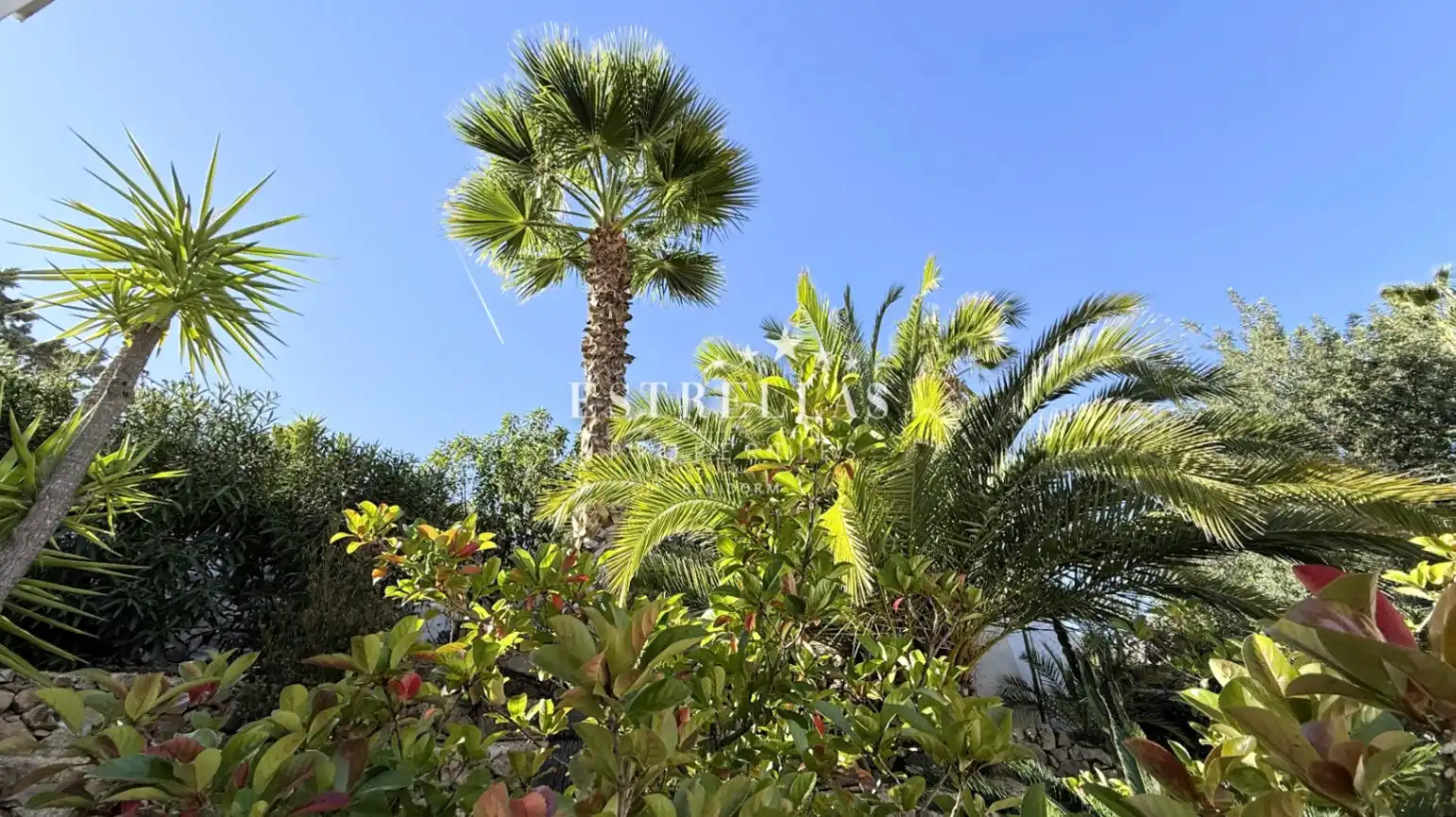 Jardí de Casa o xalet en venda en La Nucia amb Aire condicionat, Calefacció i Jardí privat
