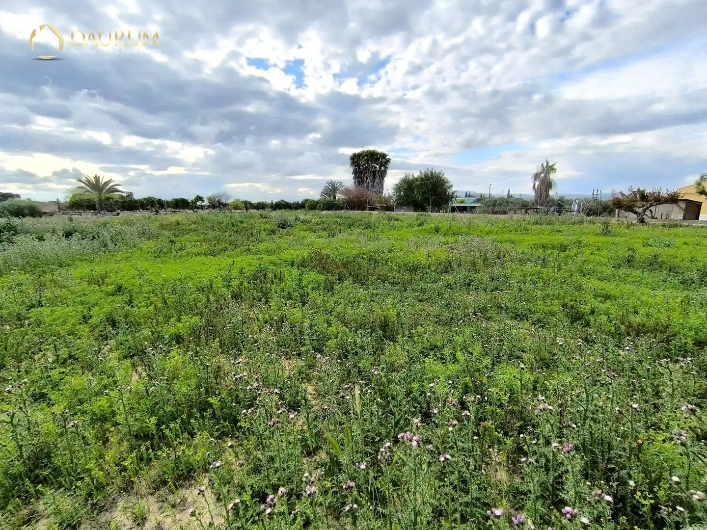 Casa o chalet en venta en Elche / Elx