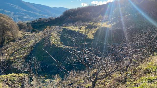 Terreno en Venta en N/A, -1 en El Torno