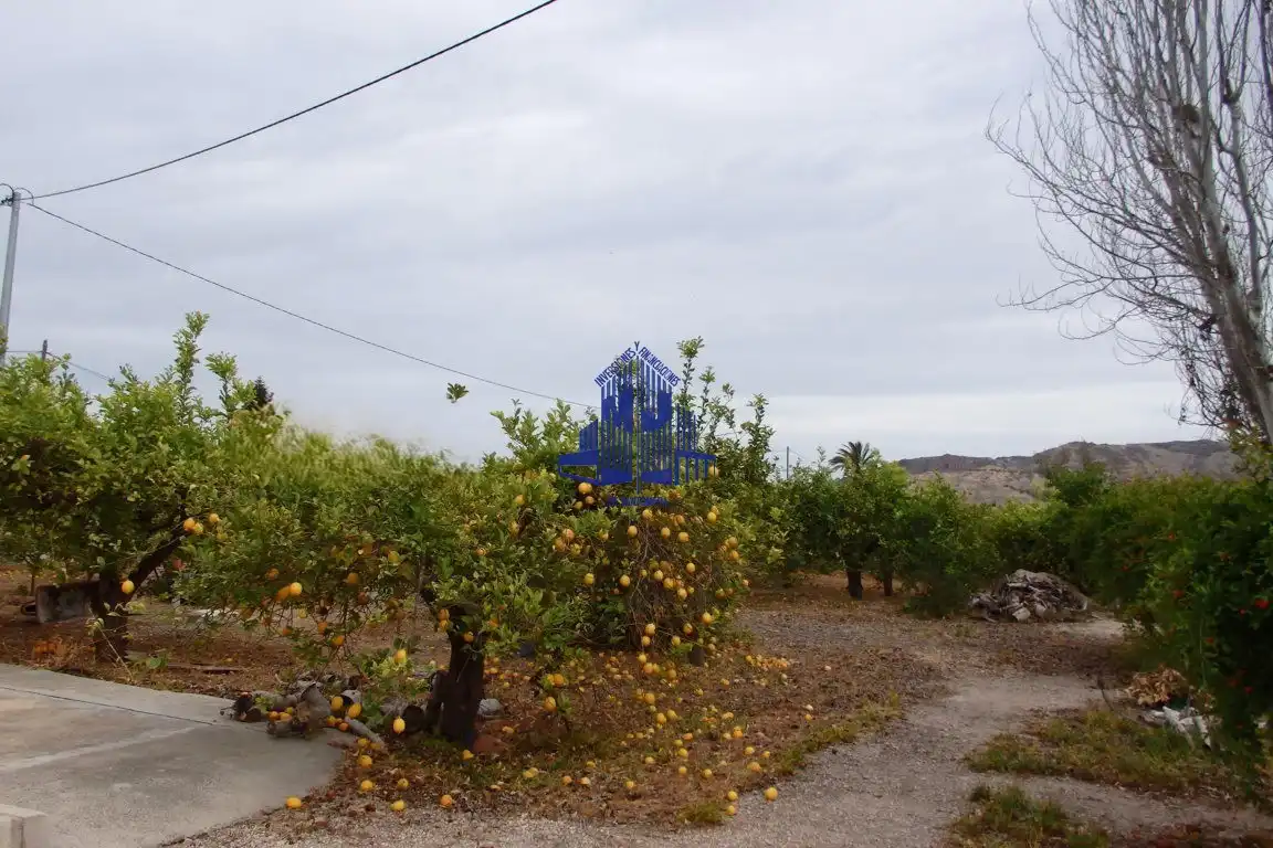 Casa o chalet en venta en Murcia con Jardín privado, Terraza y Horno