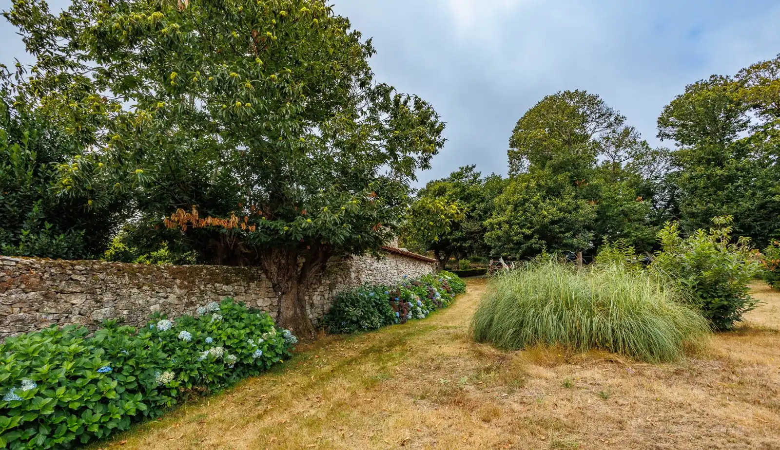 Finca rústica en venda en Chantada amb Aire condicionat, Calefacció i Jardí privat