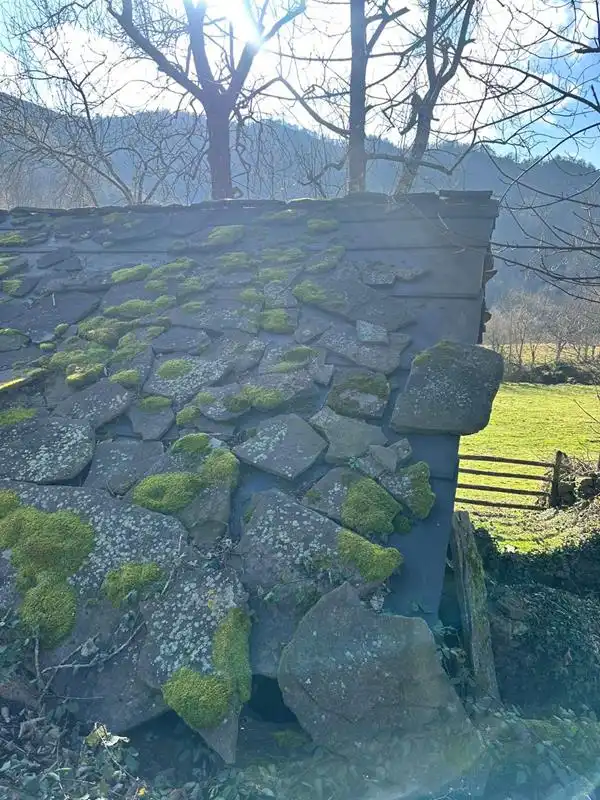 Garten von Country house zum Verkauf in Mieres (Asturias)