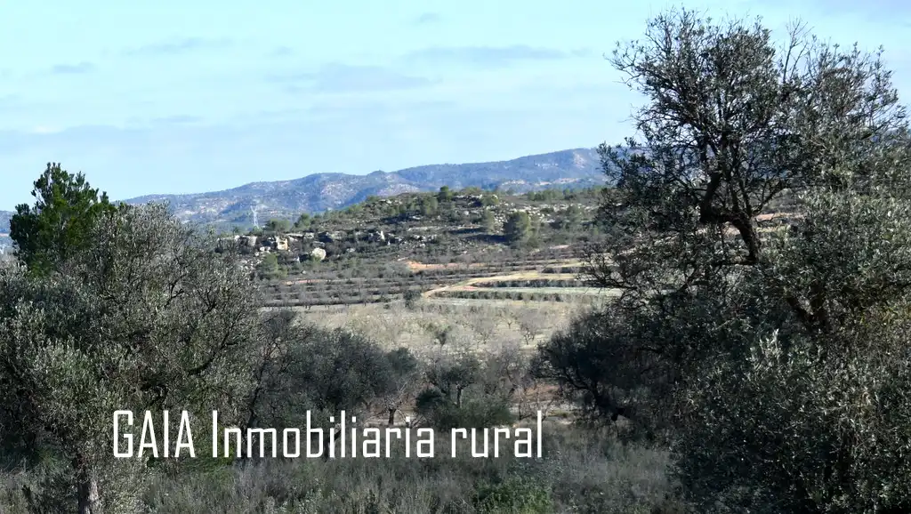 Terreni e lotti in vendita a Maella, imagen 12