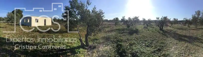 Finca rústica en venta en Almonte