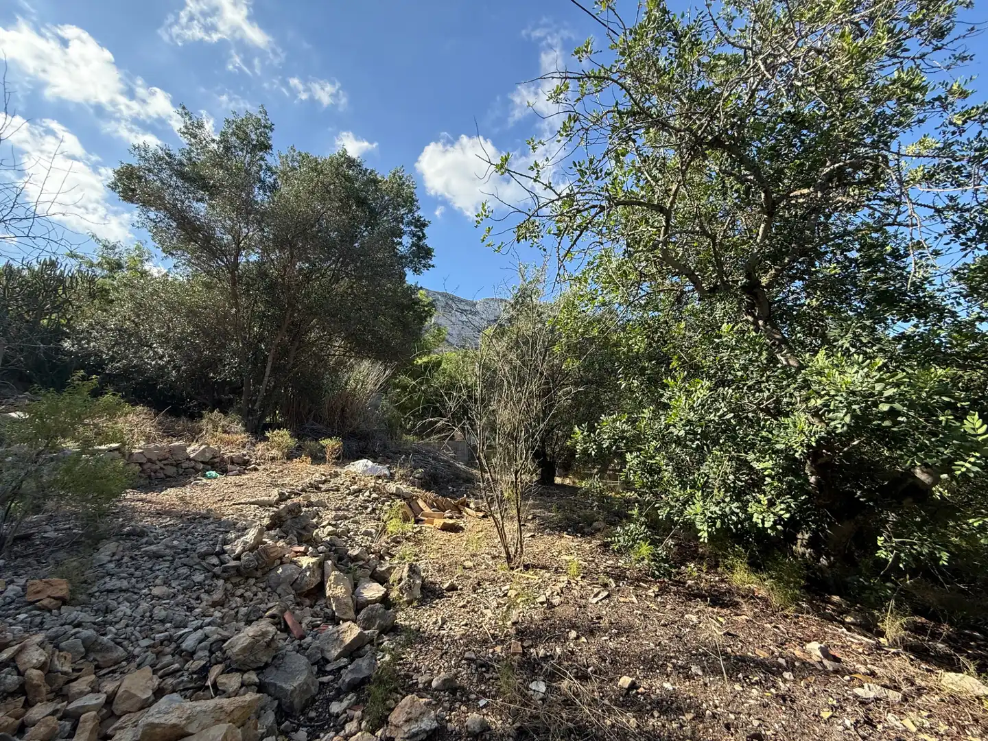 Villa con giardino in vendita a El Montgó, imagen 3