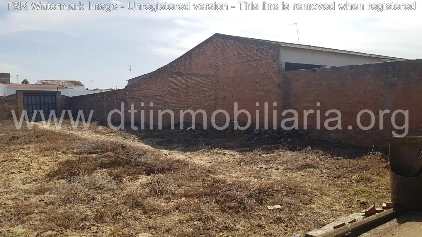 Terreni e lotti in vendita a Olivo, imagen 6