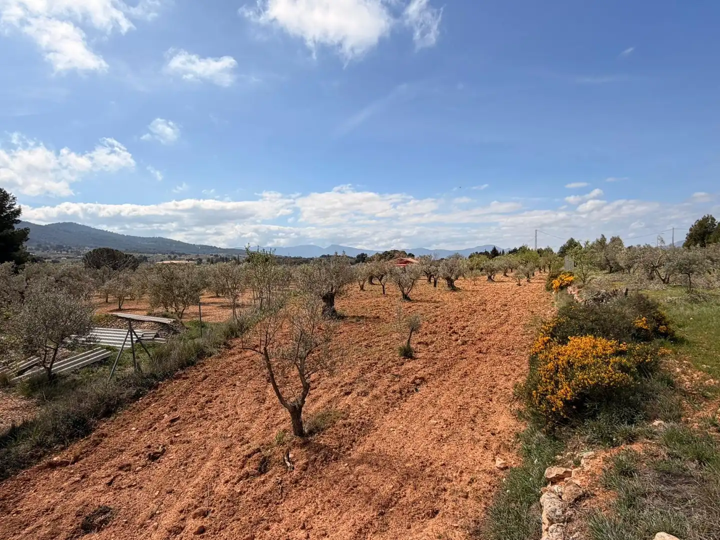 Terreno rústico en venta en CV-806