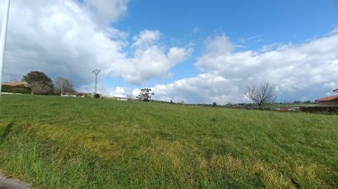 2 FINCAS URBANAS DE 2.000 M2 CADA UNA EN UN ENTORNO PRIVILEGIADO., immagine 5