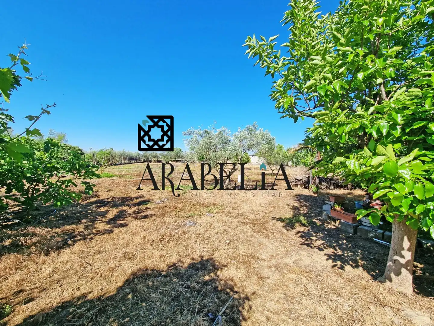 House with garden for sale in Periurbano Oeste - Sierra, imagen 30