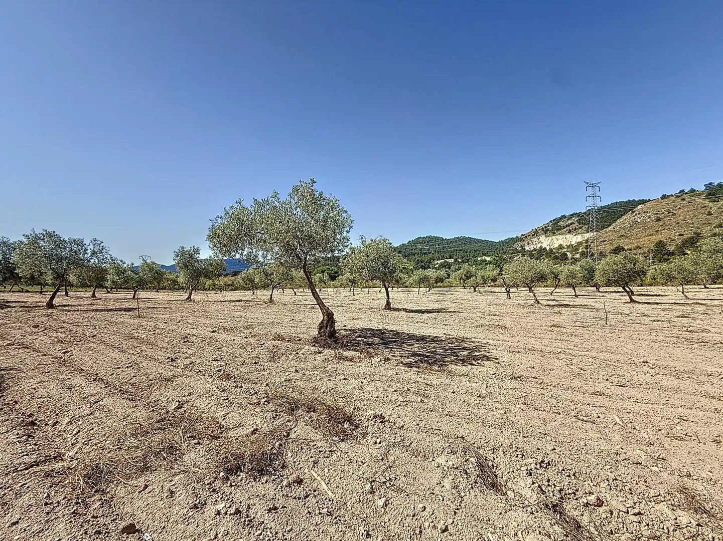 Terreno en venta en Biar