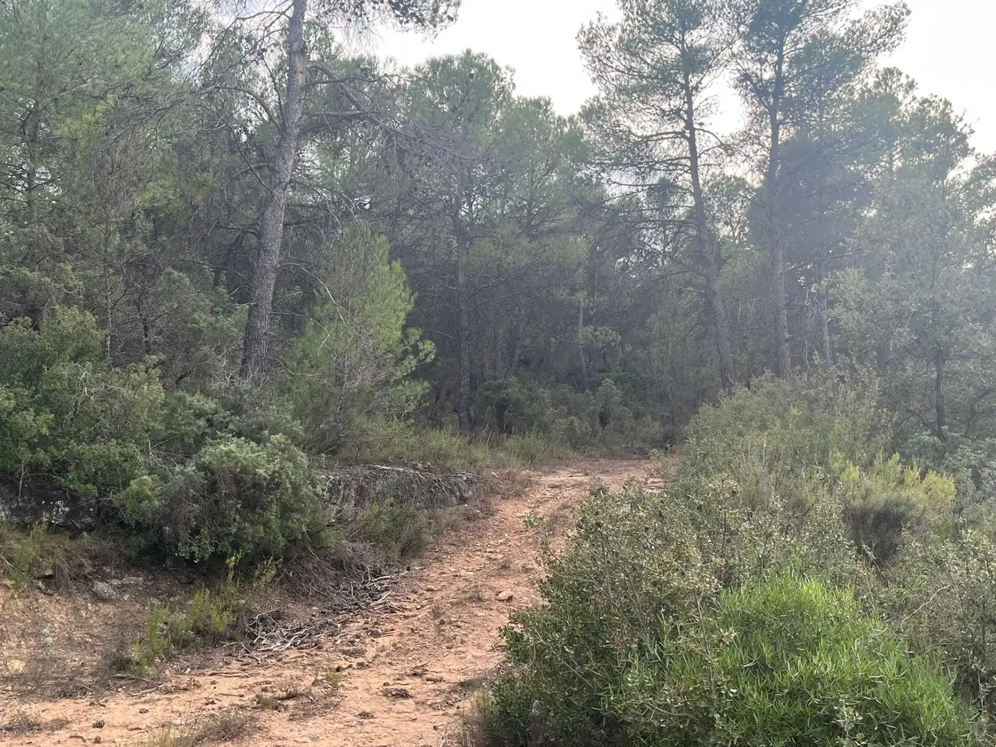 Terreni e lotti in vendita a Arens de Lledó, imagen 6