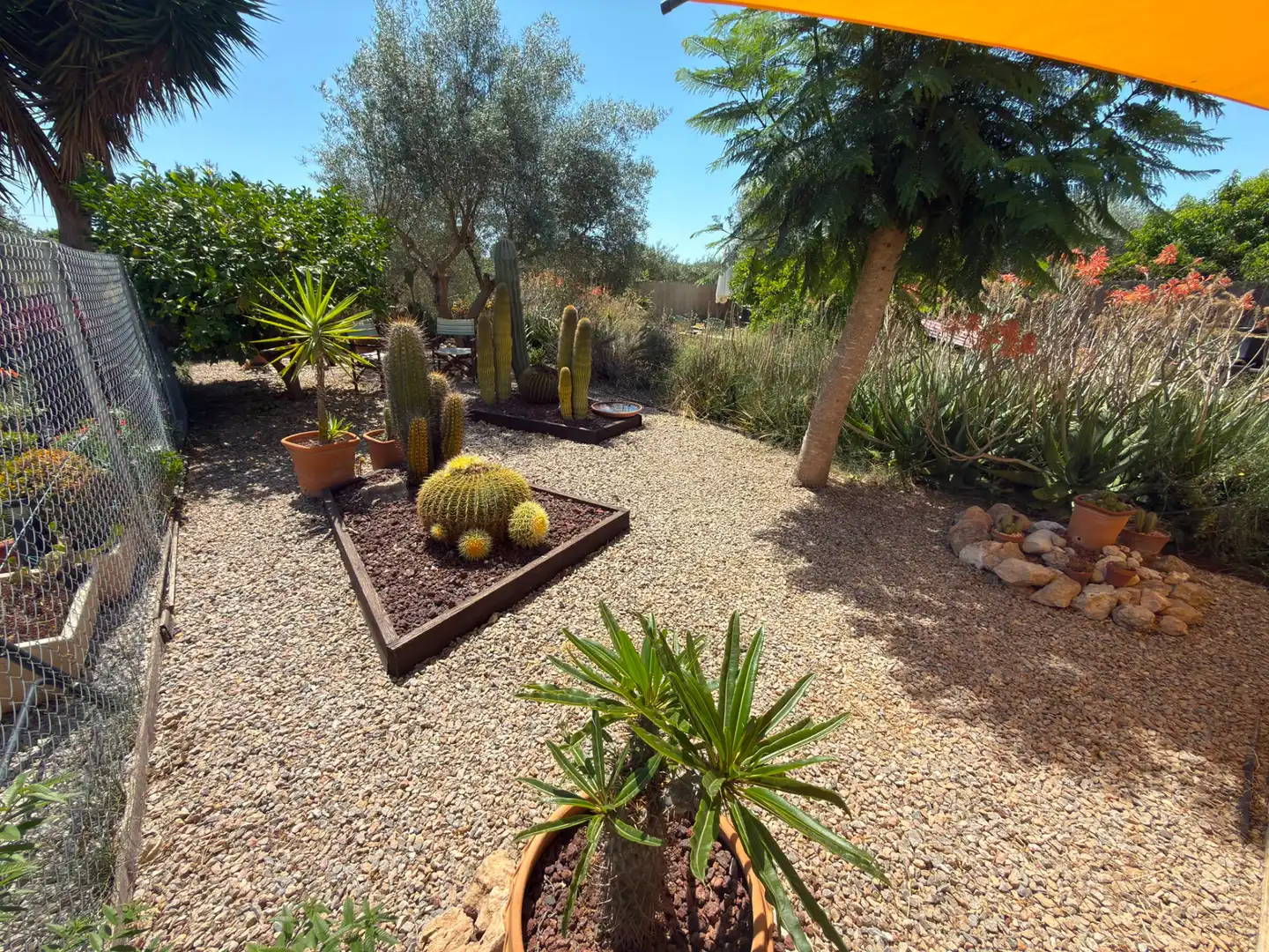 Jardín de Casa o chalet en venta en Daya Nueva con Aire acondicionado, Terraza y Amueblado