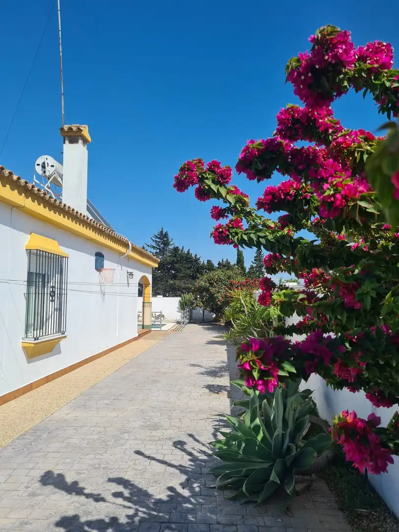 Villa mit Pool zur Miete in Carril El Mudito 10, imagen 7