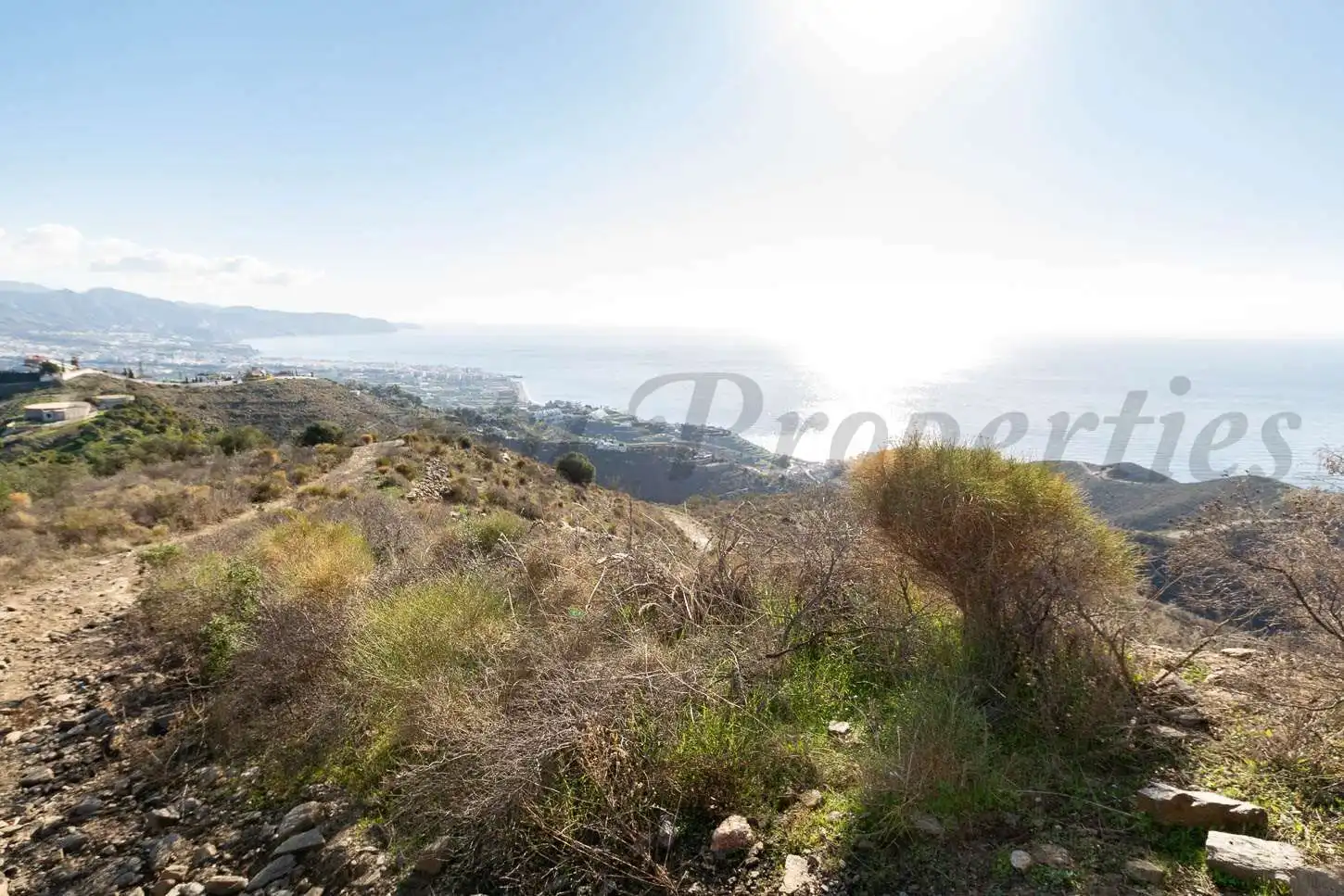 Rural land for sale in El Peñoncillo, imagen 3