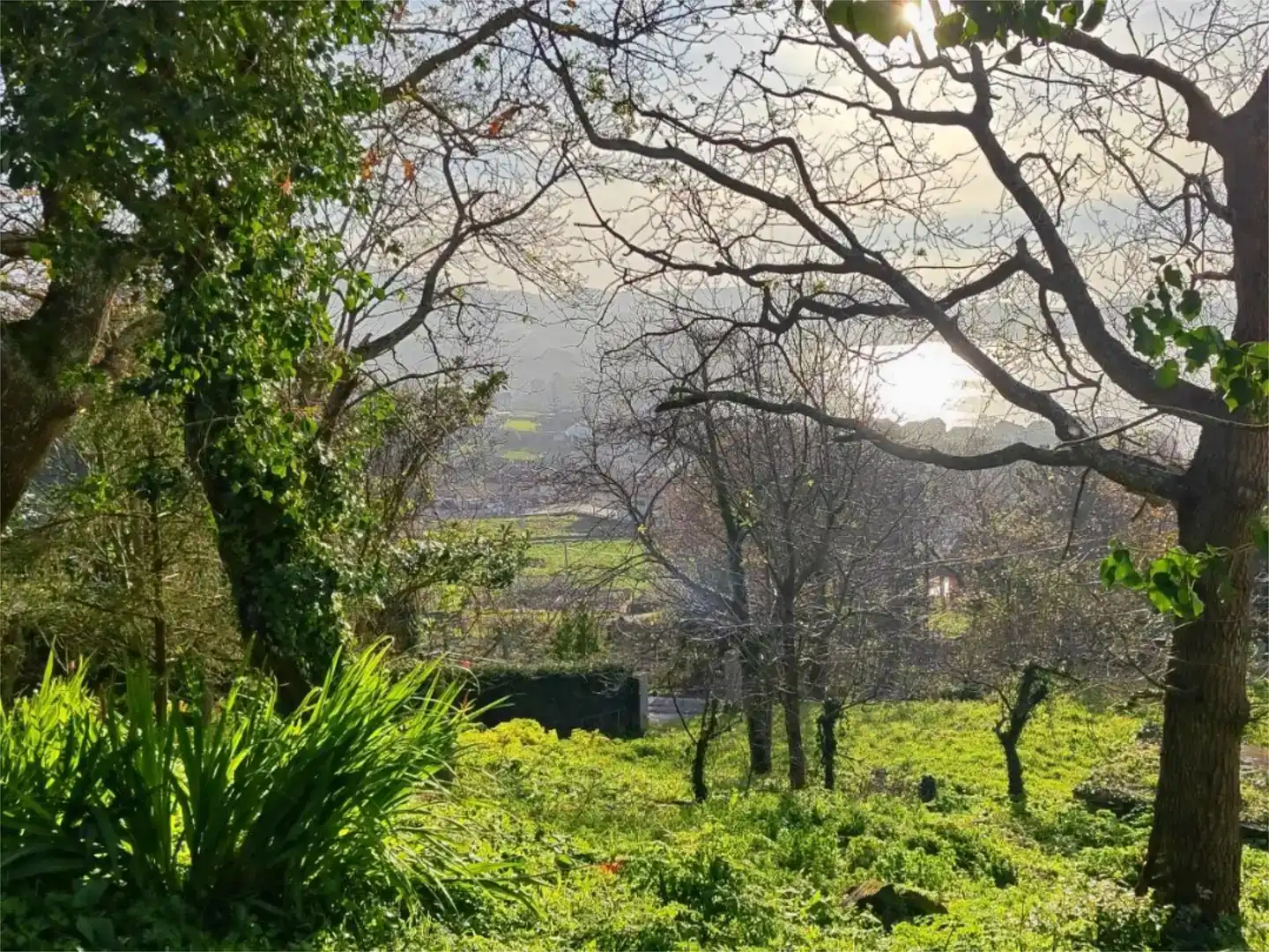 Garten von Residential zum Verkauf in Marín