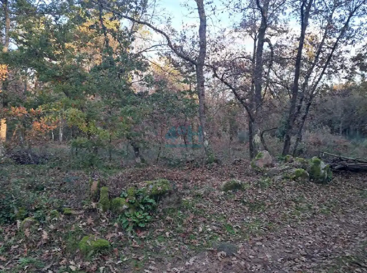 Terreny residencial en venda a San Cibrao das Viñas, imagen 4