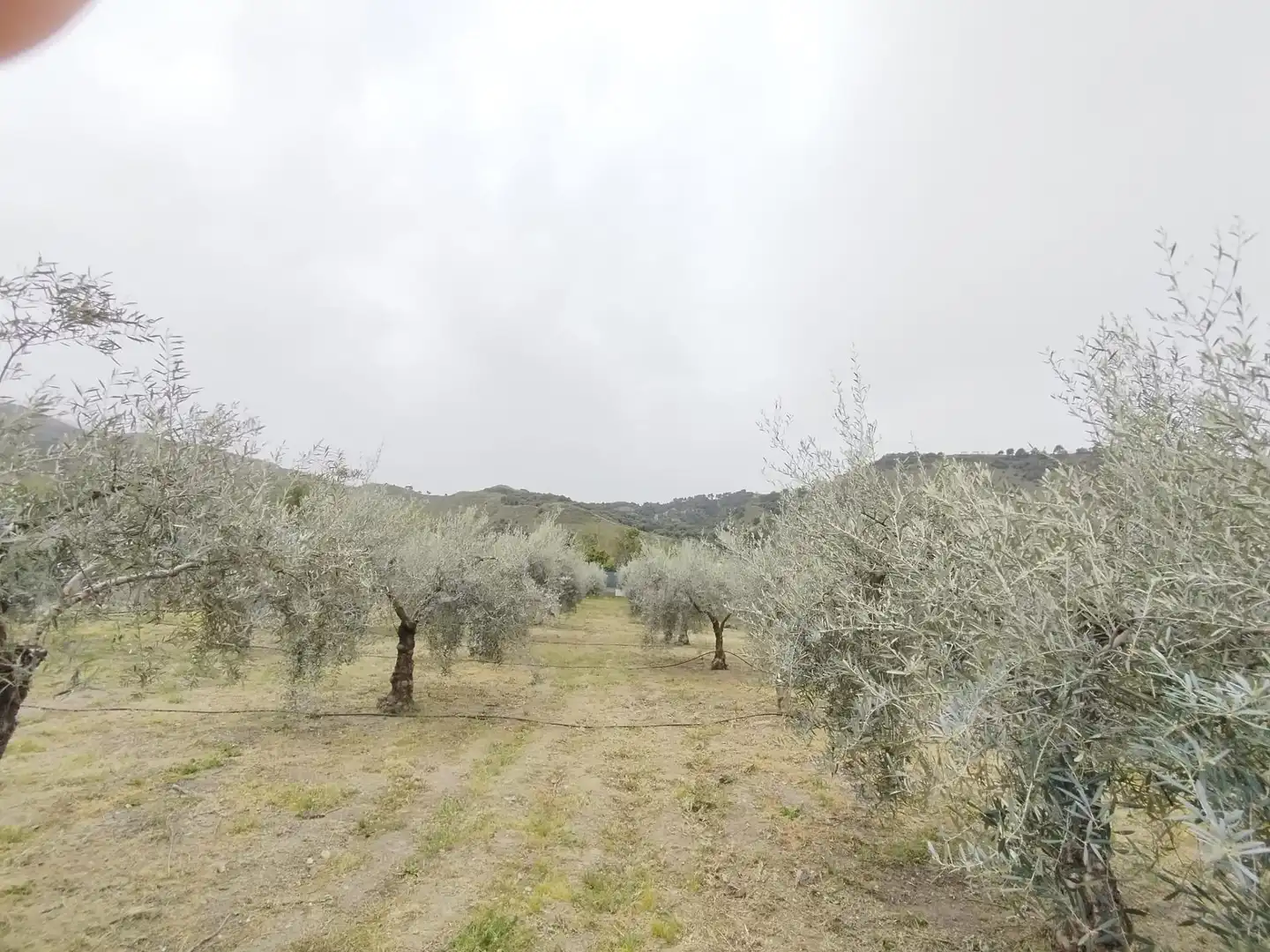 Terreni e lotti in vendita a Carretera Cenes de la Vega, imagen 21