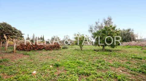 Photo 3 of Country homes for sale in Manacor Centre, Manacor