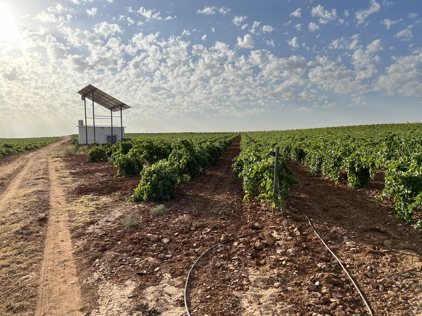 Terrenys i solars en venda a Villafranca de los Caballeros, imagen 3