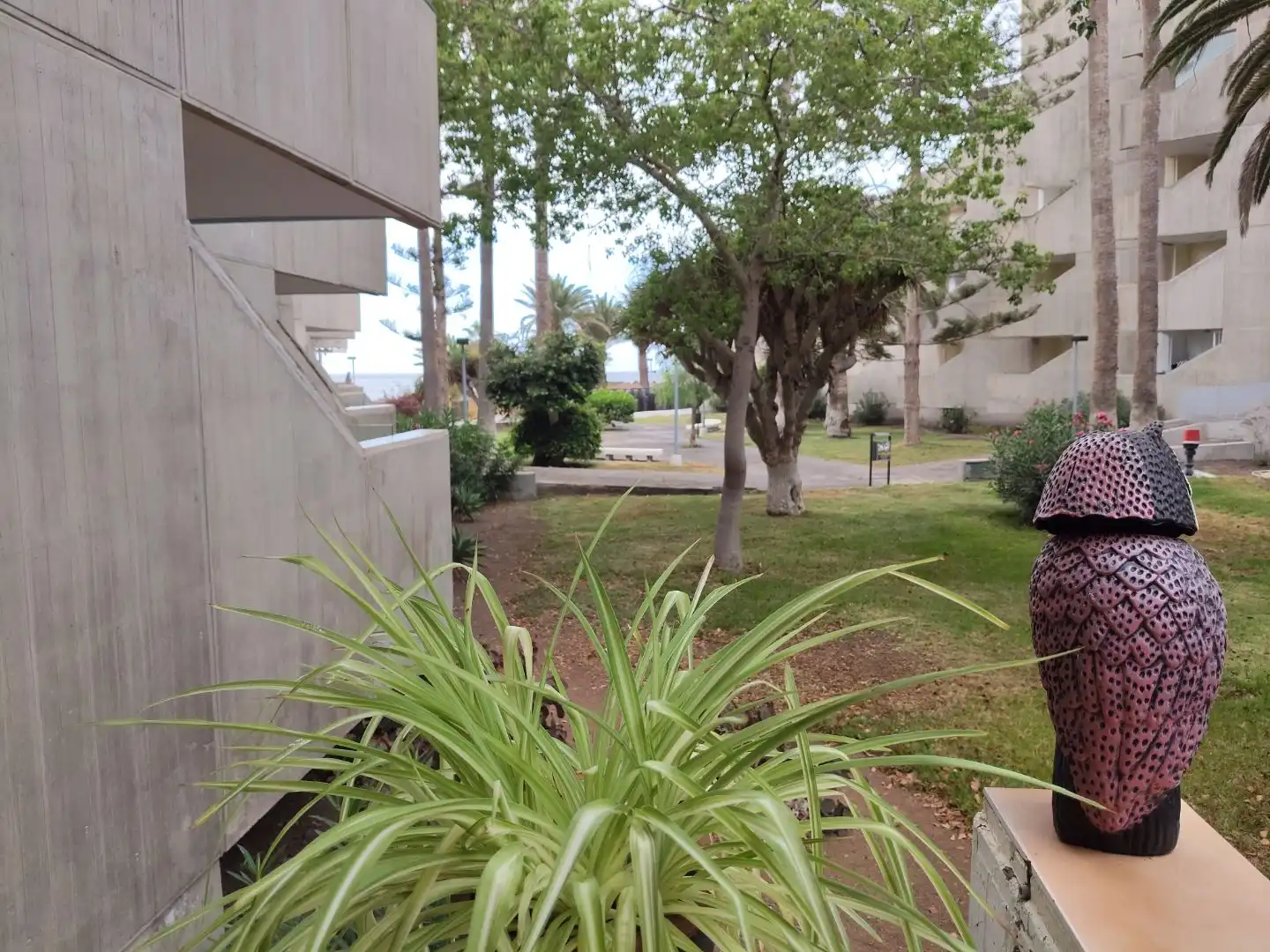 Apartament de lloguer a Avenida de Fernando Salazar Gonzalez, 26, Costa del Silencio