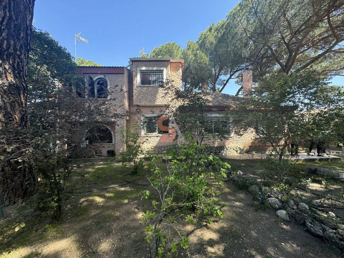Jardí de Casa o xalet en venda en Valladolid Capital amb Calefacció, Jardí privat i Terrassa