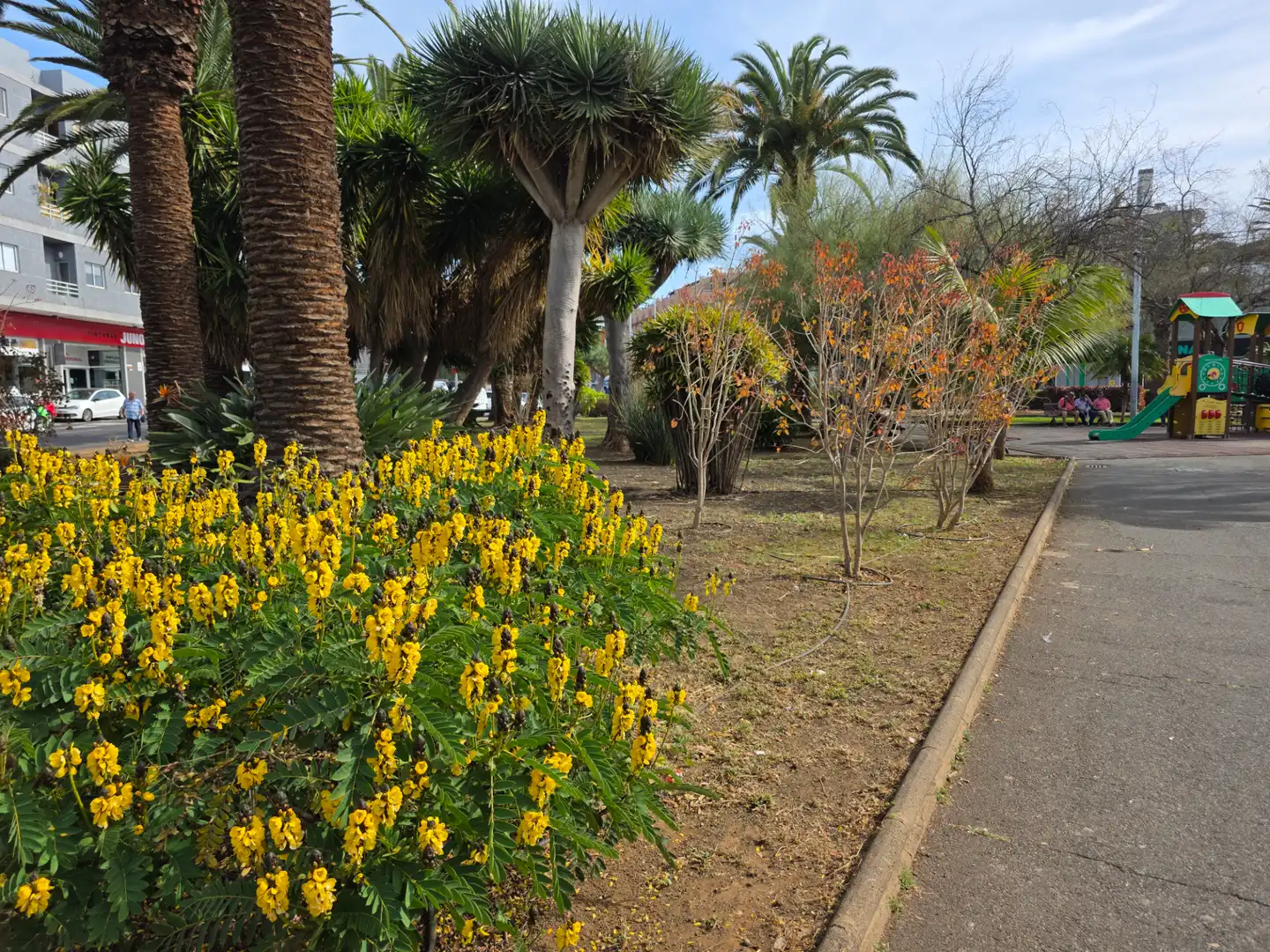 Jardín de Ático en venta en San Cristóbal de la Laguna con Terraza, Trastero y Horno