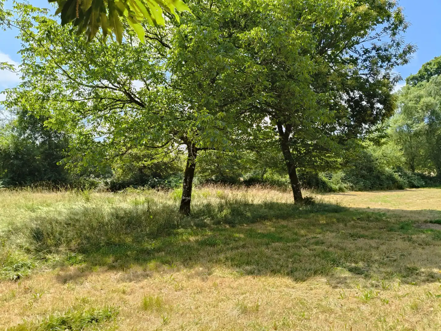 Haus zum Verkauf in Lugar Laxe, imagen 5