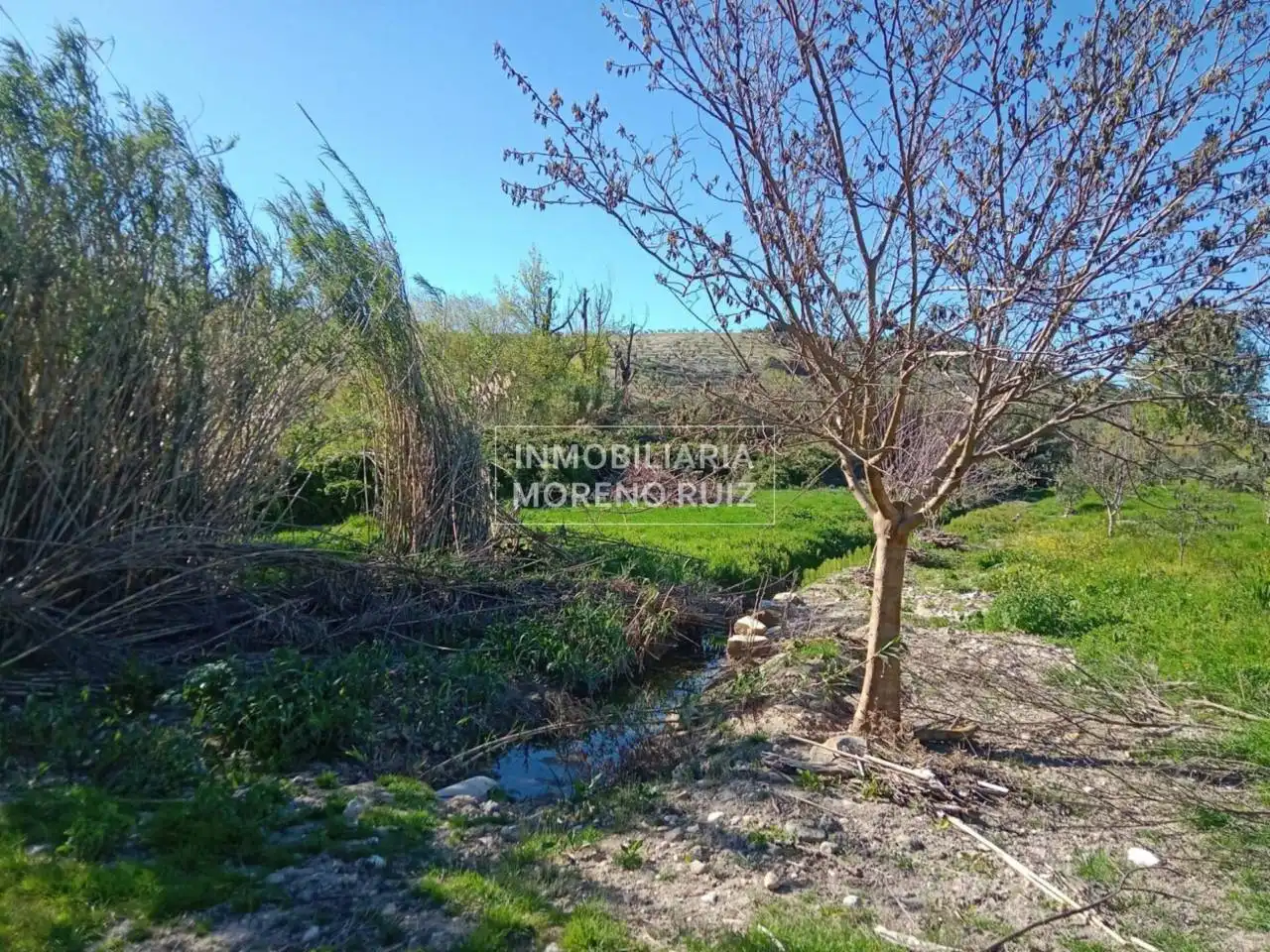 Terreny residencial en venda a Luque, imagen 2