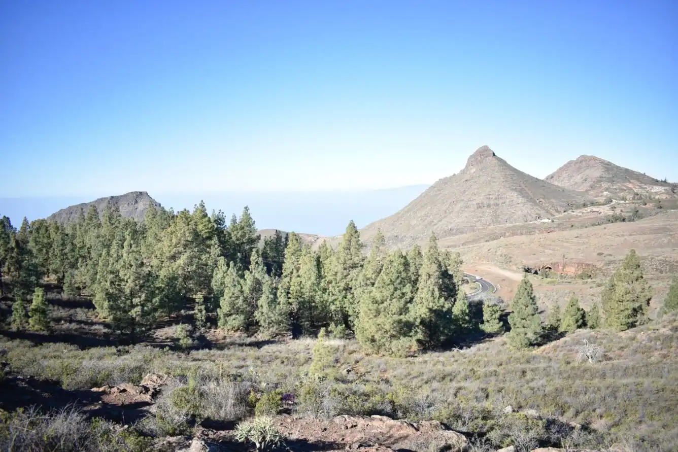 Terrenos y solares en venta en Vilaflor de Chasna, imagen 15