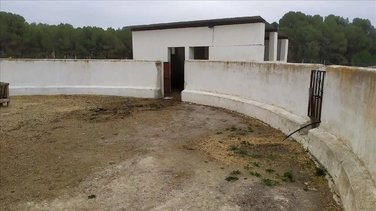 Einzigartige Immobilien zum Verkauf in Torre Mata Caravaca De La Cruz 17, imagen 6