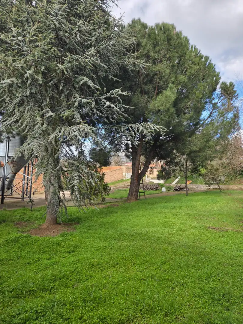 Jardí de Nau industrial en venda en San Andrés del Rabanedo