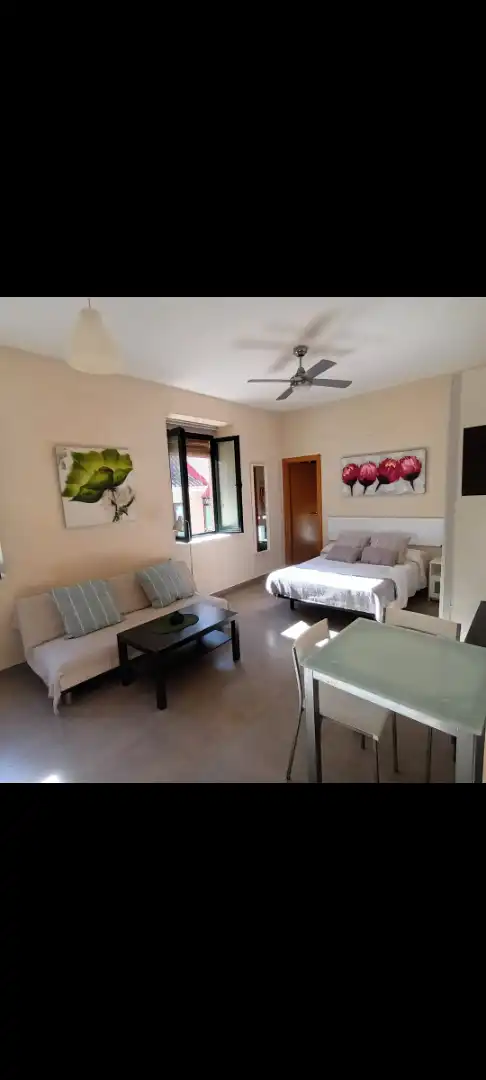 Schlafzimmer von Wohnung zur Miete in Málaga mit Möbliert