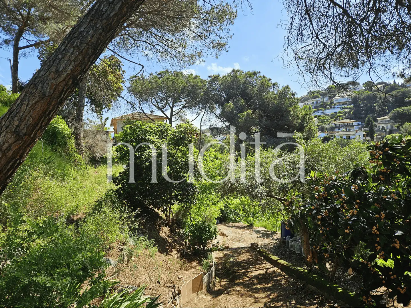Terreno residencial en venta en Joan Maragall i Gorina, imagen 4