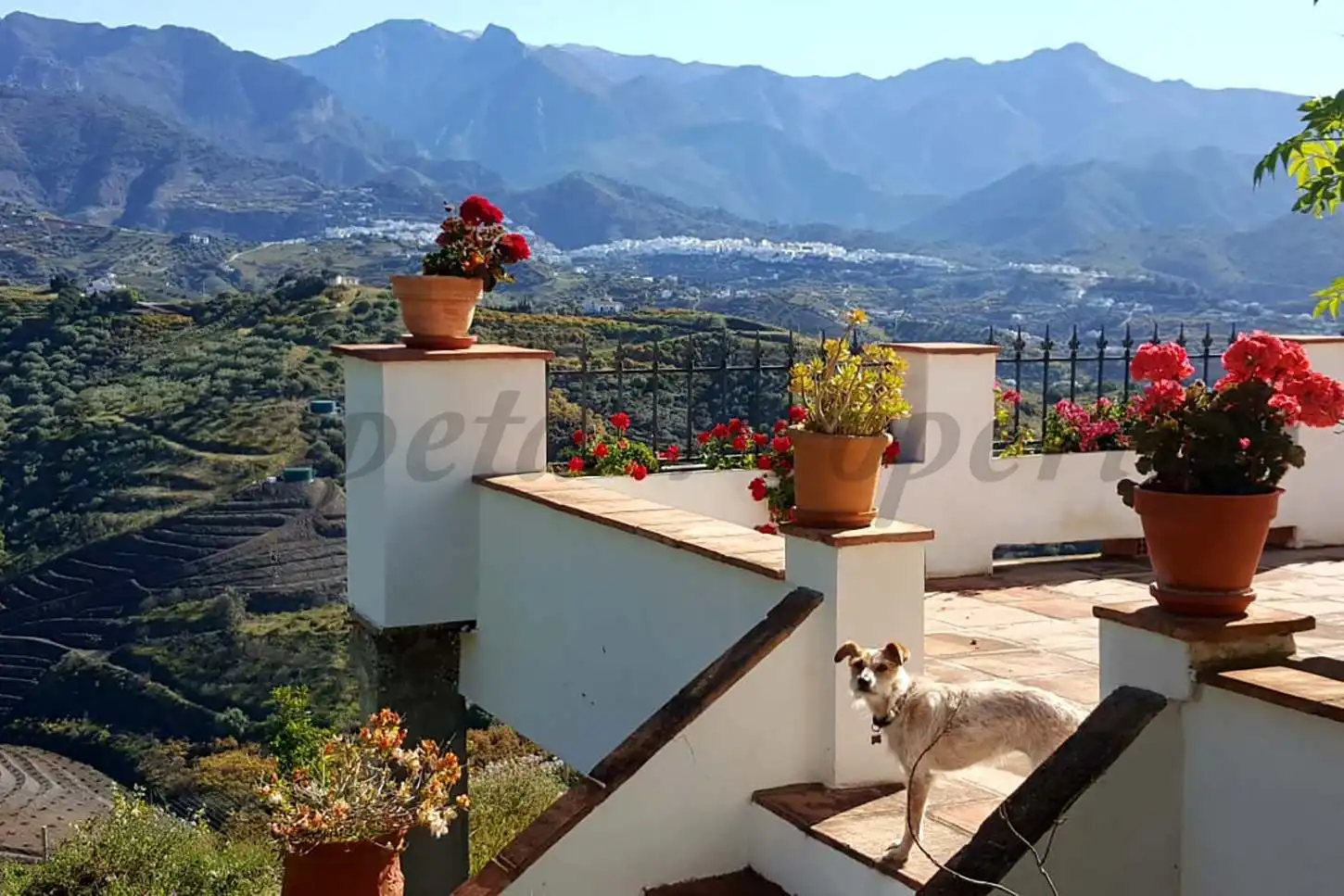 Casa con terrazza in vendita a Torrox Pueblo, imagen 19