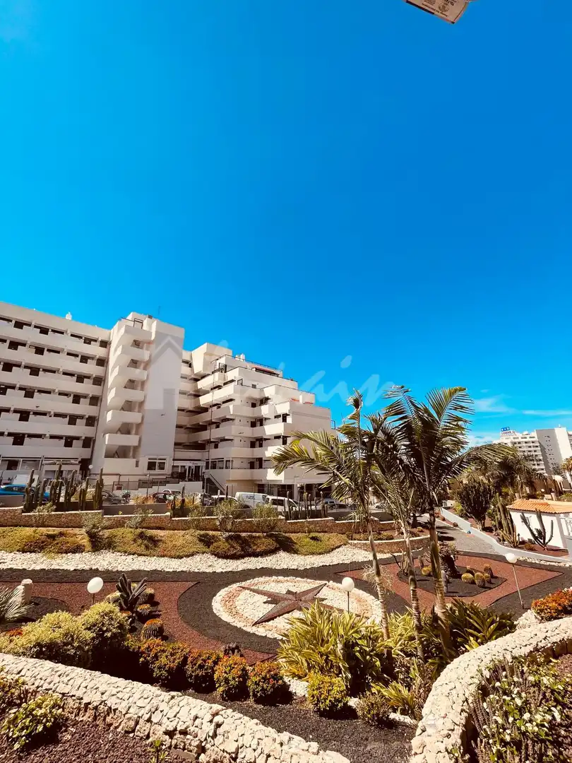 Studio à vendre à Playa de las Américas, imagen 10