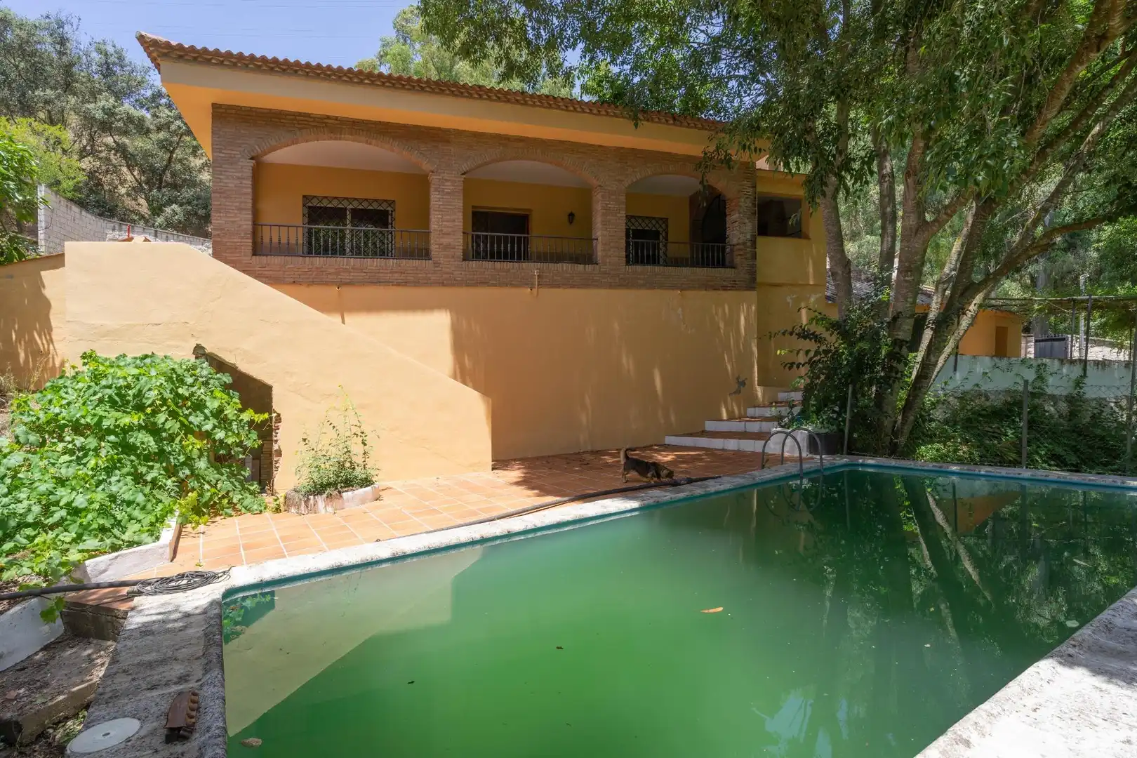 Swimming pool of Houses for sale in Alhaurín El Grande  with Private garden, Terrace and Storage room