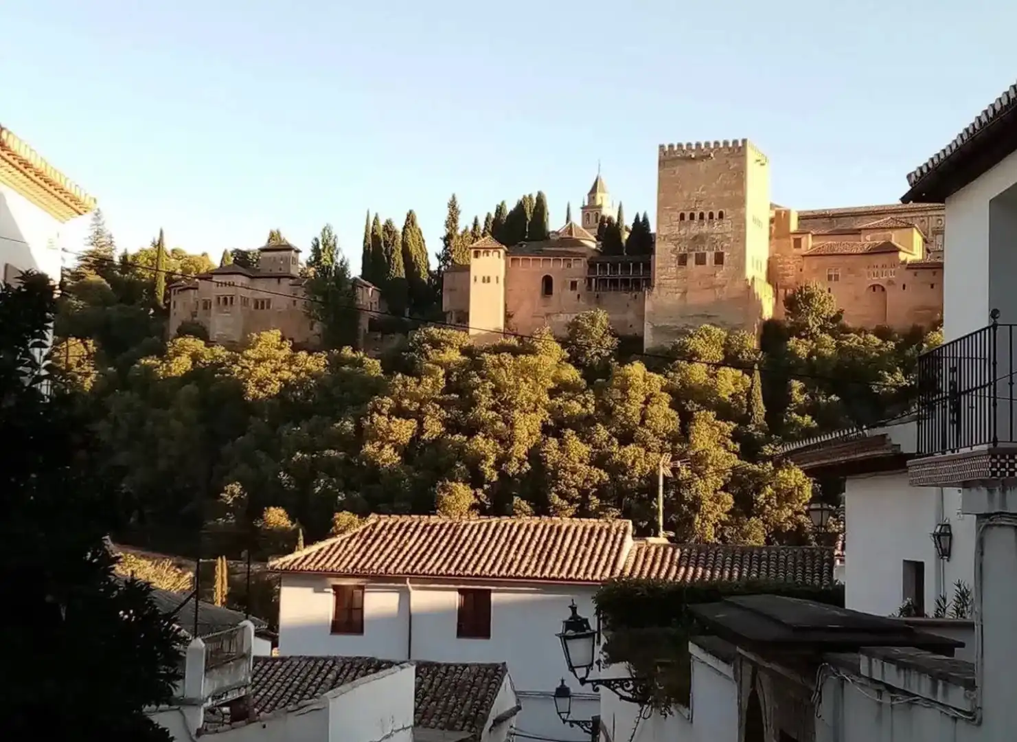 Immobili singolari con piscina in affitto a Calle San Juan de los Reyes 63