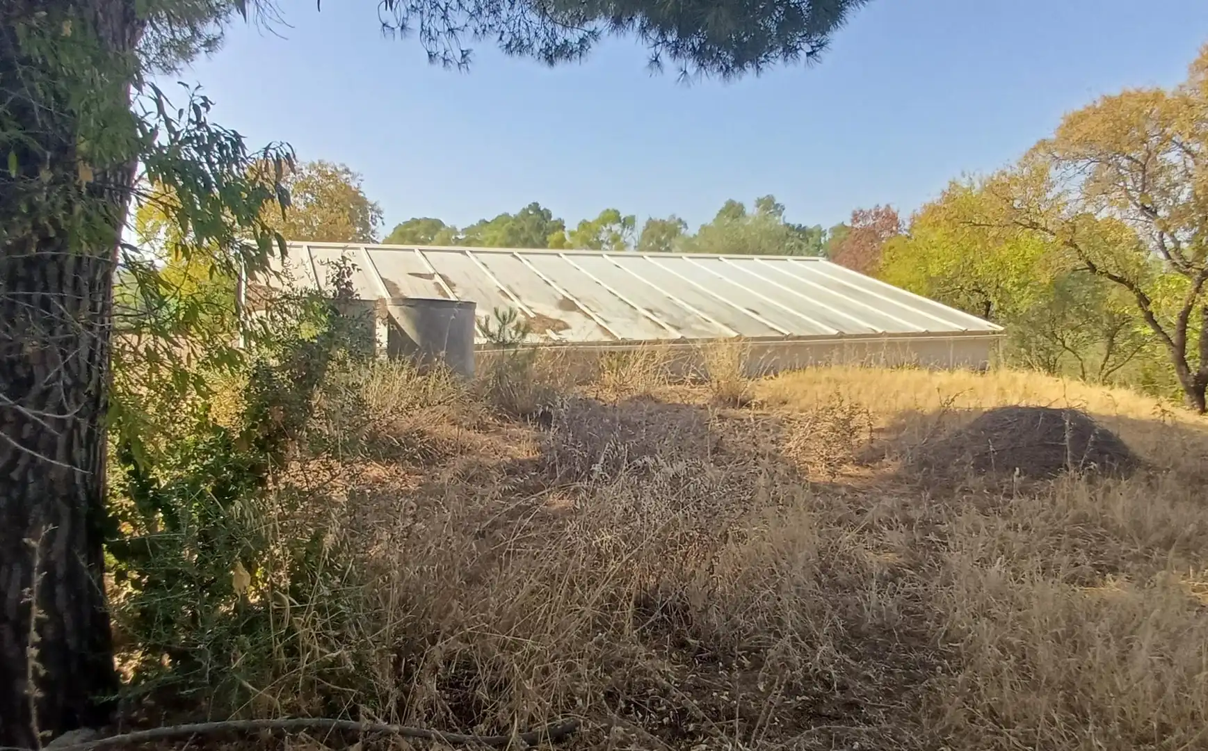 Casa rústica en venda a Los Garciagos, Polígono 119, Parcela 100, imagen 11