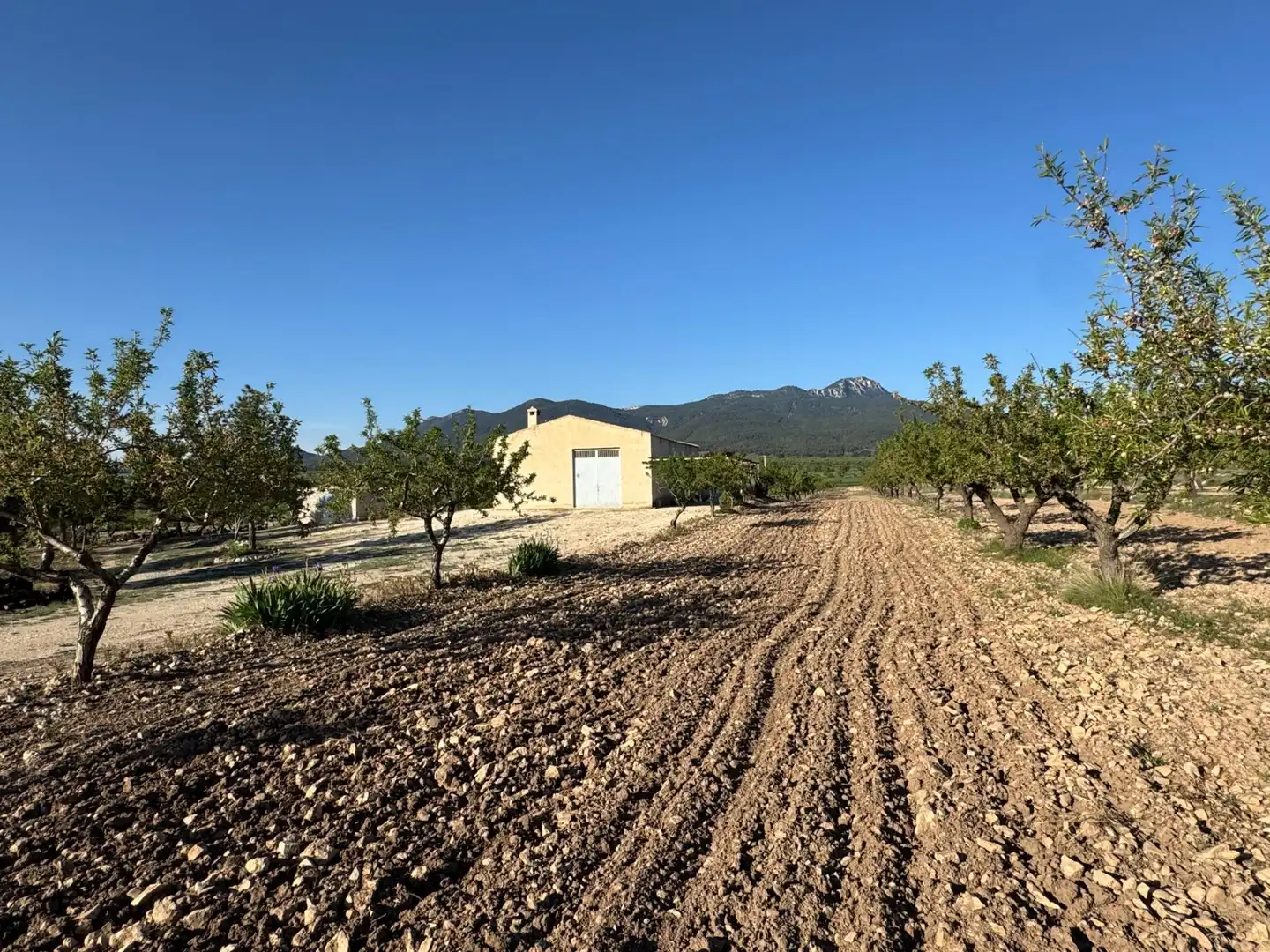 Casa con jardín en venta en Moratalla